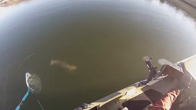 Echo 2021 Monster Brown and Bow Hobie Kayak Fishing смотреть онлайн