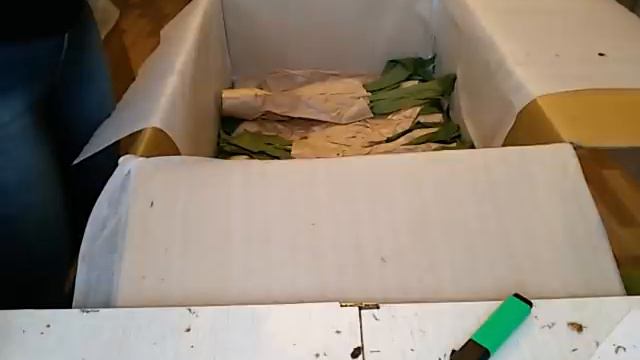 Я счастлива/Распаковка ОРХИДЕЙ ИЗ АЗИИ ЧАСТЬ 4 / *** 20 сентября 2020 г. смотреть онлайн