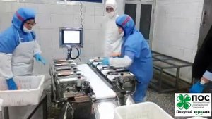 Дозатор линейный весовой автоматический для рыбы, мяса, колбасы, морепродуктов, овощей и фруктов.