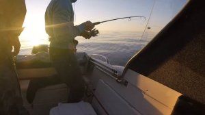 Рыбалка на Ладоге  июнь 2020 СУДАК, ЩУКА, ОКУНЬ.