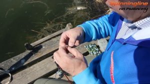 Ловля форели на платнике. На что ловить форель? : НР #1