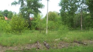 Обзор линии на Амурсталь закрытой трамвайной системы Комсомольска-на-Амуре