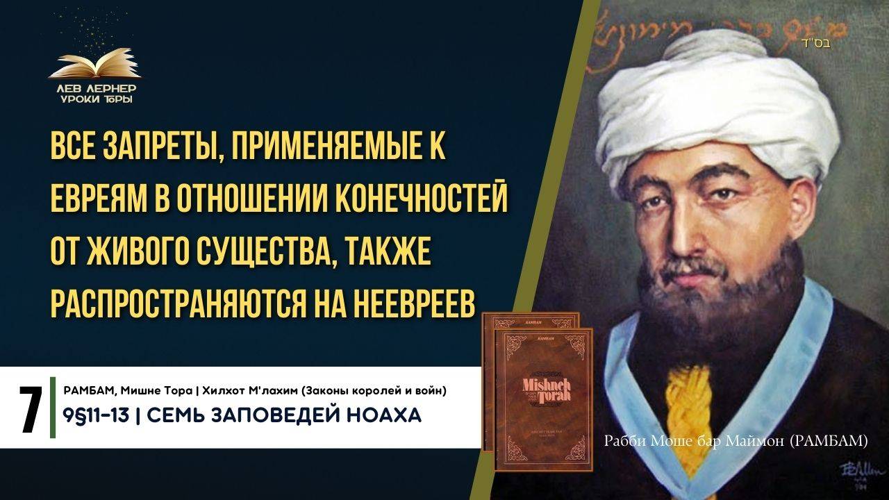 𝟕. Запрет употребления органа, отрезанного от живого животного | РАМБАМ 9§11-13