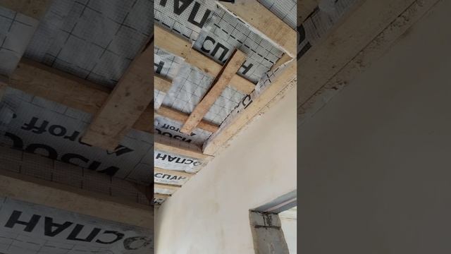 Дом в Староживотинном