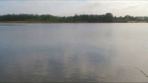 Уклея и красноперка.