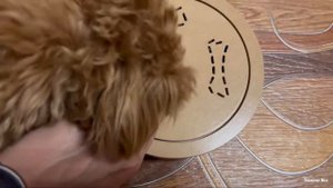 Покупки для Мальтипу