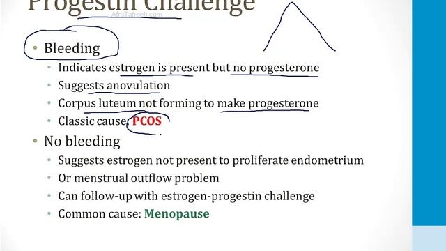 Эндокринология USMLE - 4. Репродуктивная - 4.Менструальный цикл