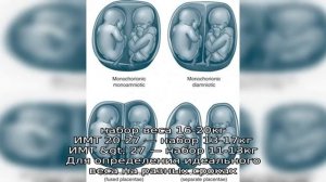 Многоплодная беременность. Беременность двойней: вес и живот, ощущения