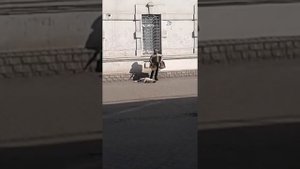 Сегодня жд вокзал город днепр