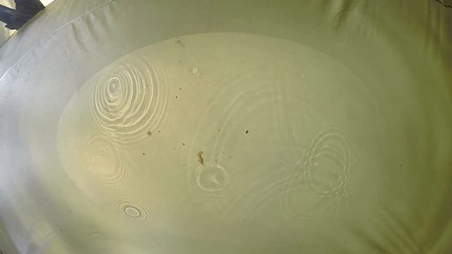 Северное Бали 2016 смотреть онлайн