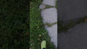 прятки на велике