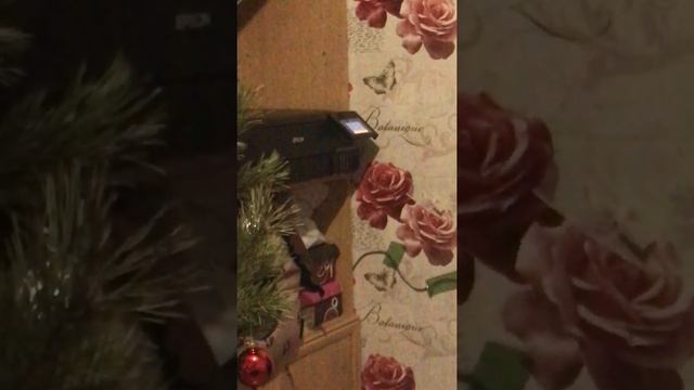 Проверка цветопередачи МФУ Epson L8180 смотреть онлайн