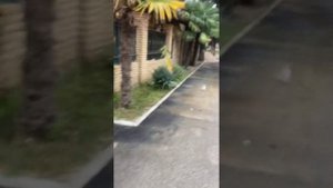 Абхазия ОТЕЛЬ ЦАРСКАЯ АЛЛЕЯ короткие видео обзор