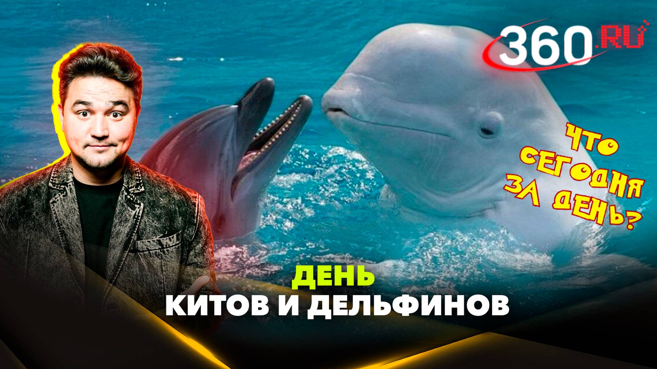 Всемирный День китов и дельфинов. Какой сегодня день
