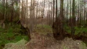 Jay-Jay Johanson - Believe In Us (Video)