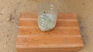 You will be strangely surprised after using this homemade fertilizer for plants