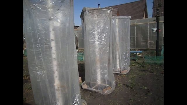 Выращивание огурцов вертикальным способом смотреть онлайн