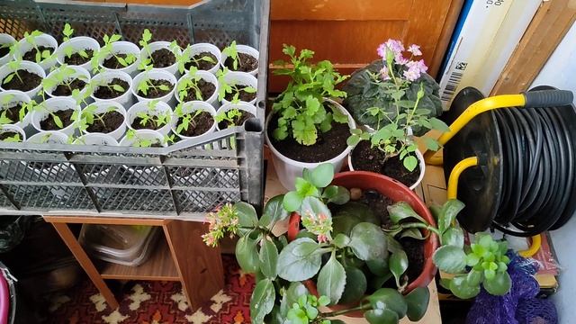 Весенний репортаж. 20 апреля 2023 год. смотреть онлайн