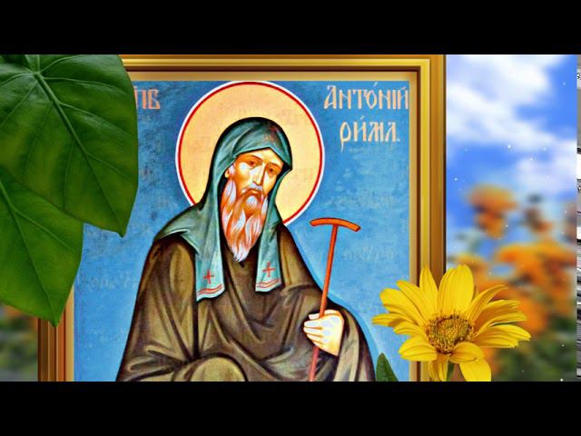 16 августа - день Чудотворца Антония. Не подметайте сегодня в доме. Приметы на 16 августа#Берегиня