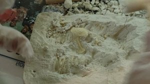 Распаковка набора для раскопок