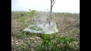 сплав по дальневосточным рекам ЗЕЯ