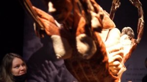 ВЫСТАВКА ГЮНТЕРА ФОН ХАГЕНСА ЧАСТИ ТЕЛА (BODY WORLDS) GUNTHER VON HAGENS