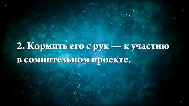 К чему снятся динозавры - Онлайн Сонник Эксперт смотреть онлайн
