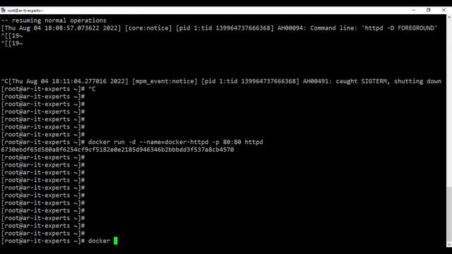 Dockerize Apache Web Server | Run Apache in Docker Container| Build an Apache Docker httpd смотреть онлайн