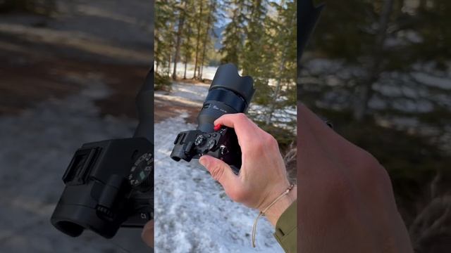 Sony a7ii + 85mm 1.8                   #cameras #sony #sonycamera #amazingworld #photography #trave смотреть онлайн