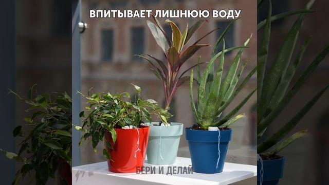 НЕВЕРОЯТНЫЕ ИДЕИ ДЛЯ САДОВОДСТВА И ЛУЧШИЕ ЛАЙФХАКИ ДЛЯ ВЫРАЩИВАНИЯ РАСТЕНИЙ