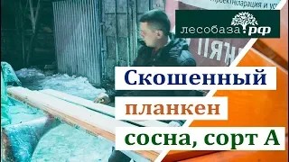 Планкен из сосны, скошенный, сорт А обзор панелей