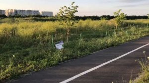 5 утра, где я бегаю | Ставрополь июль 2021