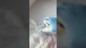 ?Подоконник??