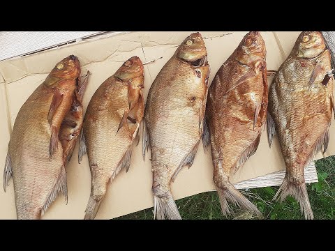 ЛЕЩ ГОРЯЧЕГО КОПЧЕНИЯ! ПРОСТО! БЫСТРО И ОЧЕНЬ ВКУСНО! КОПТИМ ЛЕЩА смотреть онлайн