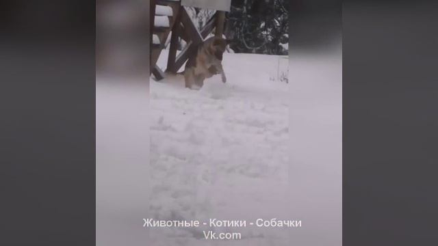 Надо же, как ловко получаеться смотреть онлайн