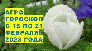 Агрогороскоп с 18 по 21 февраля 2023 года. Агрогороскоп з 18 по 21 лютого 2023 року