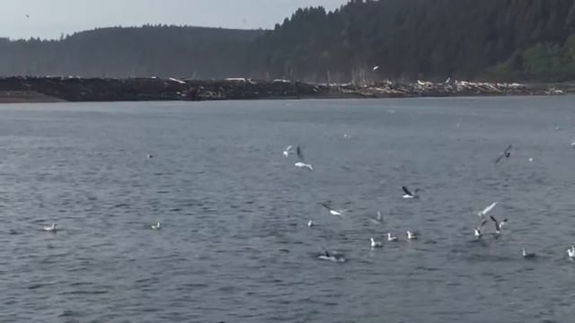 "Better Place" music by @RachelPlatten #RachelPlatten #BetterPlace смотреть онлайн