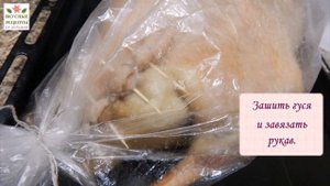 Гусь в духовке с яблоками и черносливом. Рецепт: гусь запеченный в рукаве.