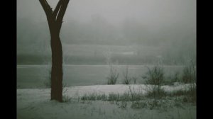 Дельфин - Кран (Doomer Version)