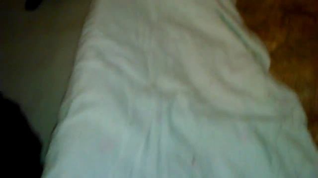 Первые игры щенят, немецкие овчарки 20 дней смотреть онлайн