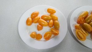 Томаты - близнецы// Блаш (Стыдливый румянец), Котя F1, Золото Амишей.