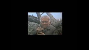 Холодное лето 53 - го. А.Папанов, последняя роль.