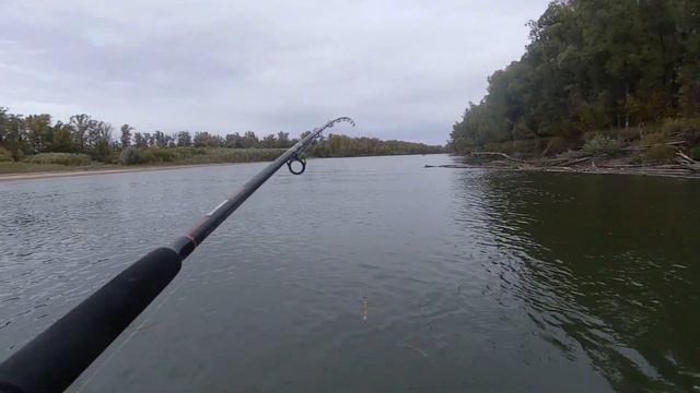 Осенние обские щуки на ложку / Ob autumn pike on a spoon смотреть онлайн