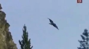 Джон Рокфеллер (John  Rockefeller) история успеха, биография