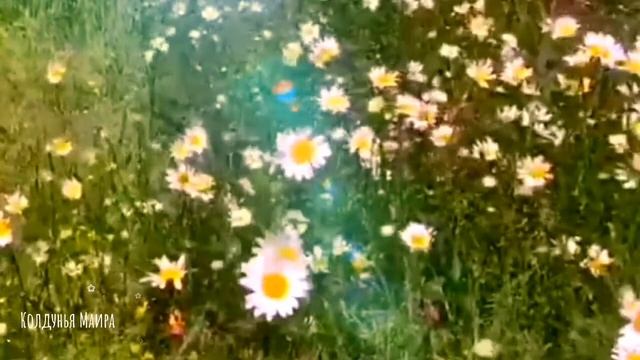 СОЗИДАЮЩАЯ МОЛИТВА РОДУ