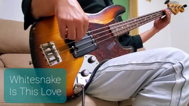 Whitesnake / Is This Love (Bass cover) смотреть онлайн