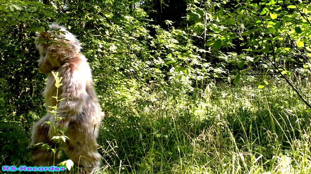 русский стиль ты какой то не такой. русский стилль (кристина соколова). Polyakova style оля полякова. русский стиль клипы. концерт группы русский стиль 2017.