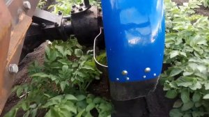 Самодельный трактор окучивание картофеля (2021)