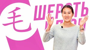 Ключевые иероглифы #81 毛 (шерсть)  УЧУ КИТАЙСКИЙ ЯЗЫК ✌ Школа Динары Мин ✌