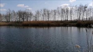 Рыбалка на прудах, село Карайчевка, Бутурлиновский район, 09.04.2023 года